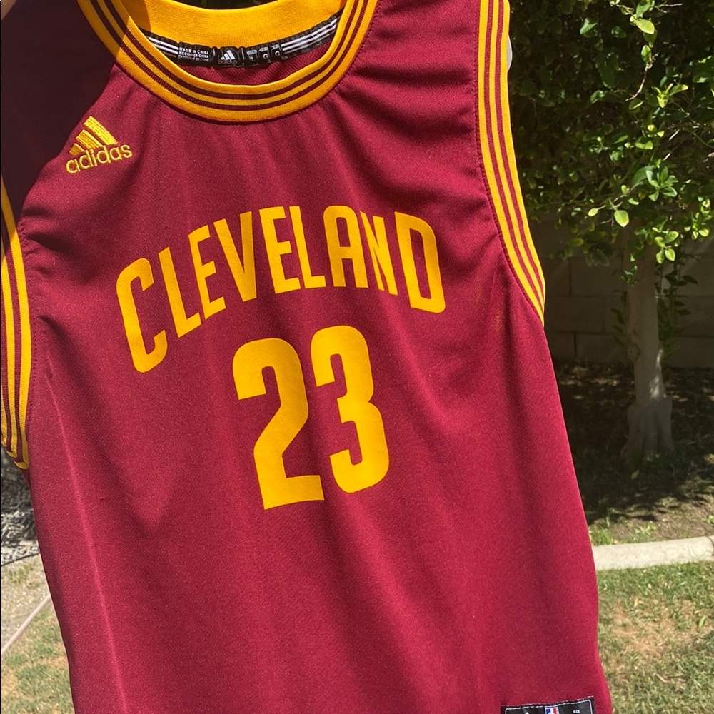 Adidas Cleveland Jersey in Burgundy and Gold